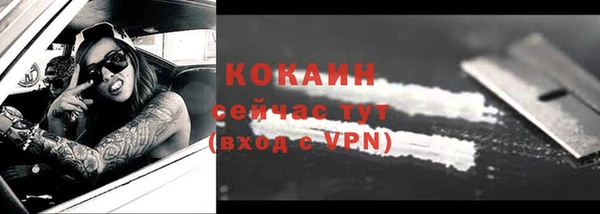 эйфоретик Чекалин