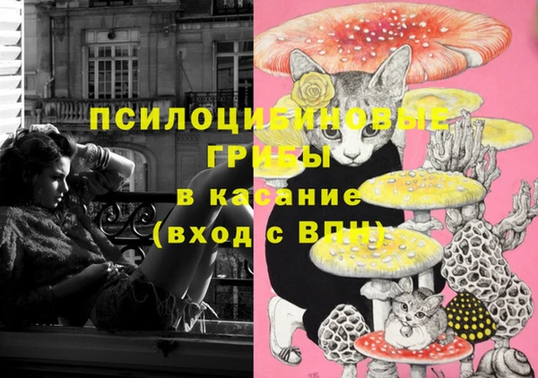 спиды Зерноград