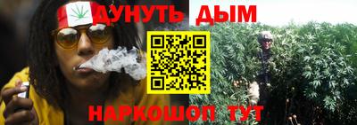 шишки Гусь-Хрустальный